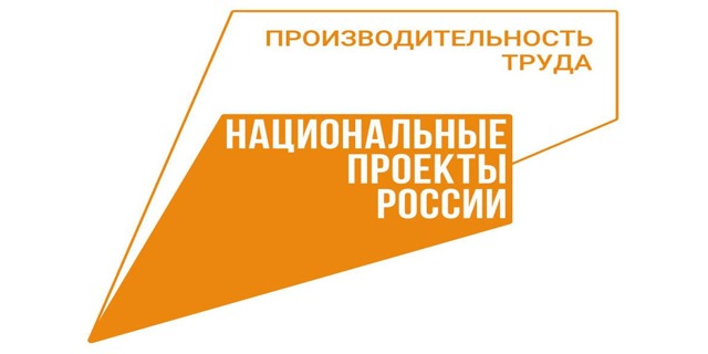 Как будет проходить реализация федерального проекта «Производительность труда» национального проекта «Эффективная и конкурентная экономика» в Чеченской Республике